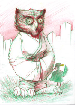 sb g m judo owl 01